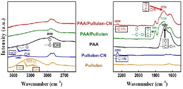 Figure  8.  Structural  informations  about  three  polymers  and  their  cross-linked  bipolymers