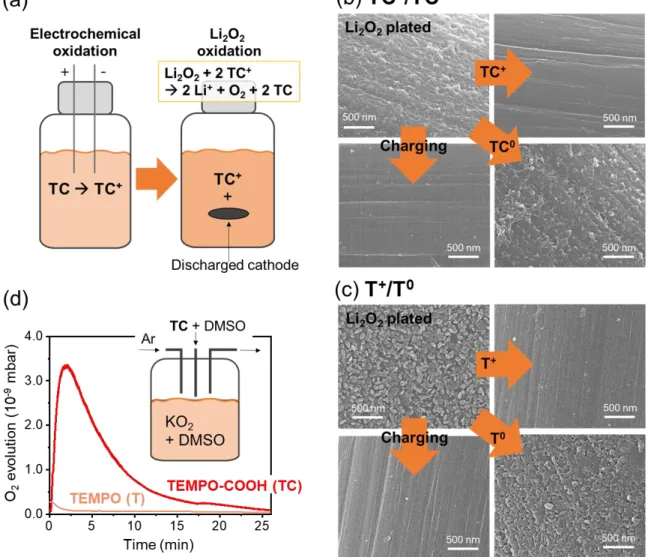 Figure  1.3  Chemical  evidence  of  the  SODm/CRM  bifunctionality.  (a)  Schematic  illustration  of  the  Li 2 O 2   oxidation  experiment