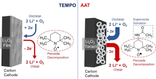 Figure  2.1  AAT  as  the  multifunctional  additive  for  LOBs.  The  multifunctionality  includes  (1)  superoxide solvation during discharging, (2) peroxide decomposition during charging