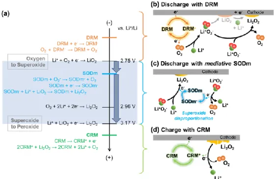 Figure 3.1 Roles of redox-active molecules as DRM, SODm and CRM. (a) Oxygen electrochemistry  in  organic  solvents