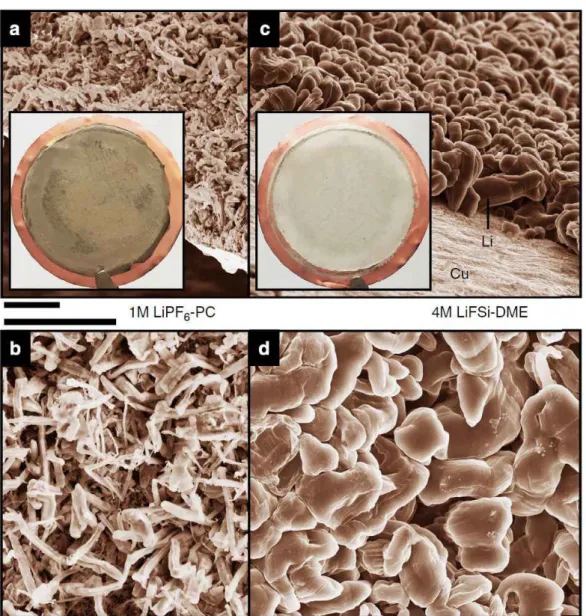 Figure  3.  SEM  images  of  the  morphologies  of  Li  metal  after  plating  on  Cu  substrates  in  different  electrolytes