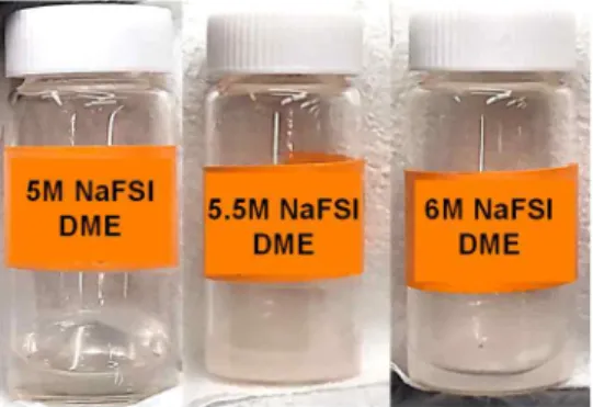 Figure 6. Photograph showing the solubility limit of NaFSI in DME solvent. 