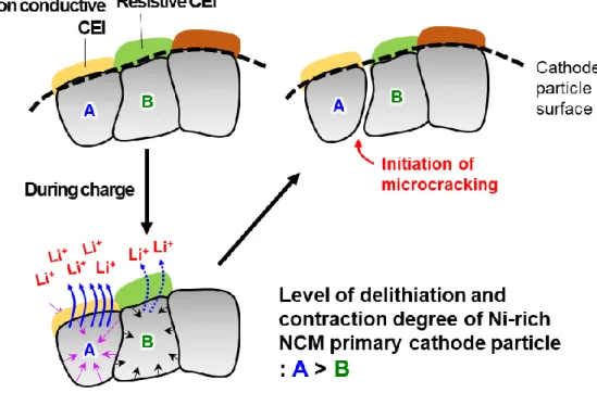 Figure 5. Schematic of the microcracking process in the NCM811 cathodes [9]. 