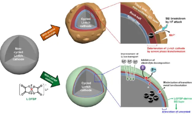 Figure 14. Schematic diagram showing the effect of LiDFBP on Li-rich cathode. [26] 