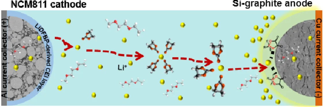 Figure 15. Schematic illustration of concentration gradient of Li ion in electrolyte when starting charge  with high current density