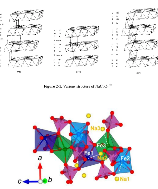 Figure 2-1. Various structure of NaCoO 2.