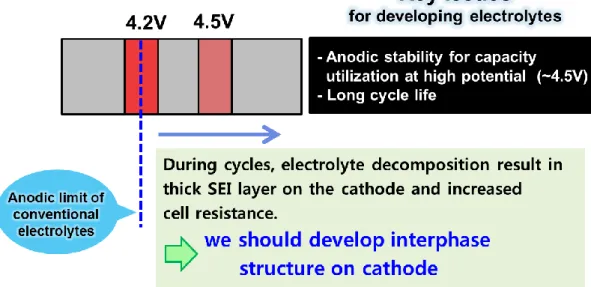 Figure 2-3. Key issue of electrolyte in cathode 