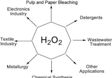 Fig 1.1 The use of hydrogen peroxide 5