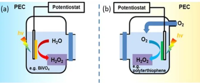 Fig  1.4  (a) PEC  water  oxidation  for  the  production  of  H 2 O 2   (b) PEC  oxygen  reduction  for  the  production of H 2 O 2 17