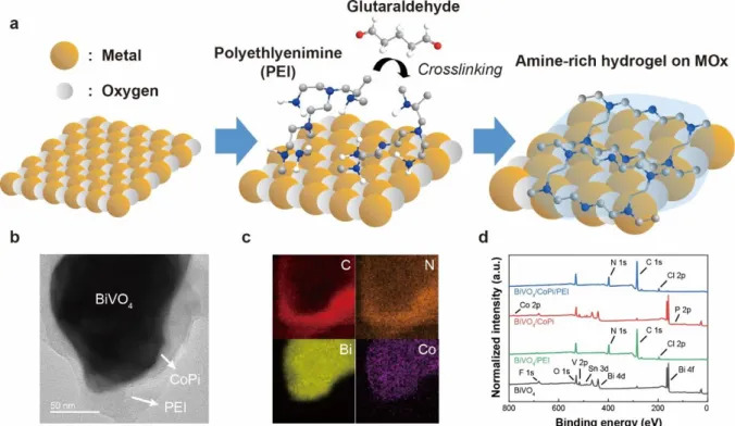 Figure 57. (a) Schematic illustrations for the deposition of PEI hydrogel on various metal oxide  photoanodes