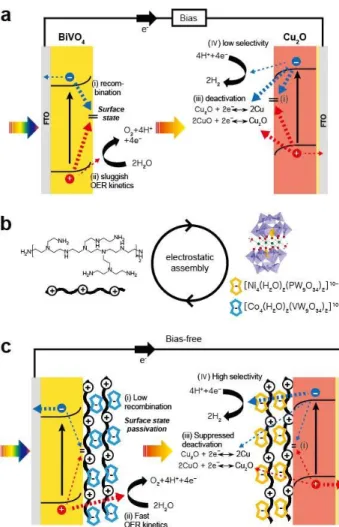 Figure 5. Schematic illustrations explaining (a) the inherent problems of a PEC cell composed of a  Cu 2 O photocathode and BiVO 4  photoanode, (b) the experimental procedures for addressing them, and  (c) the expected results