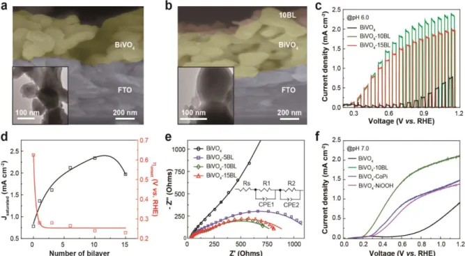 Figure 14. Formation of the OER CMs and their influence on the PEC performance of the BiVO 4