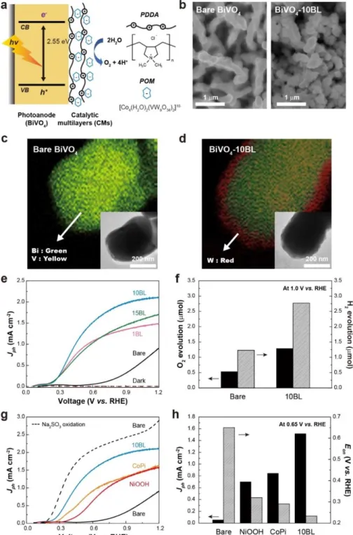 Figure 20. (a) Schematic illustration for the preparation of the BiVO 4  photoanodes modified with  molecular catalytic multilayers