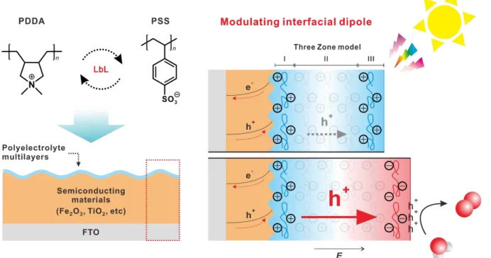 Figure 39. Schematic illustrations of LbL assembled polyelectrolyte multilayers on photoelectrode  and simplified carrier pathway for enhanced charge-separation toward efficient water oxidation