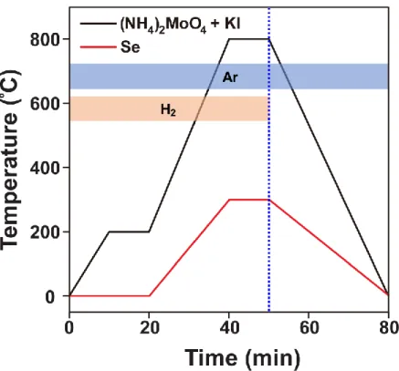Figure 2.2. Temperature profiles of the promoter-assisted liquid-phase CVD process for the synthesis  of MoSe 2 