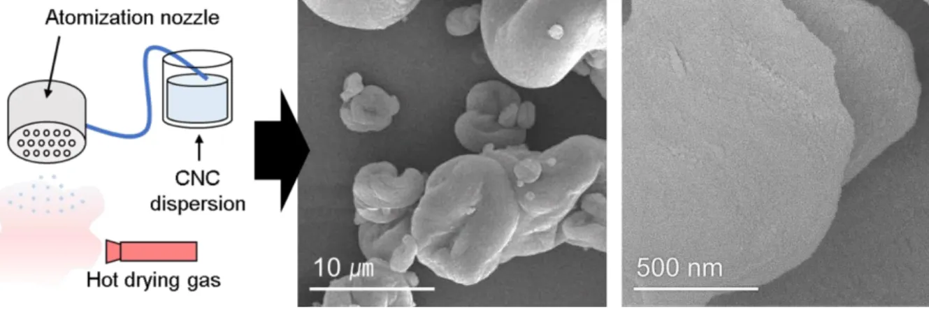 Figure 3.1 Spray-drying method and SEM images of spray-dried CNC (low and high mag), respectively