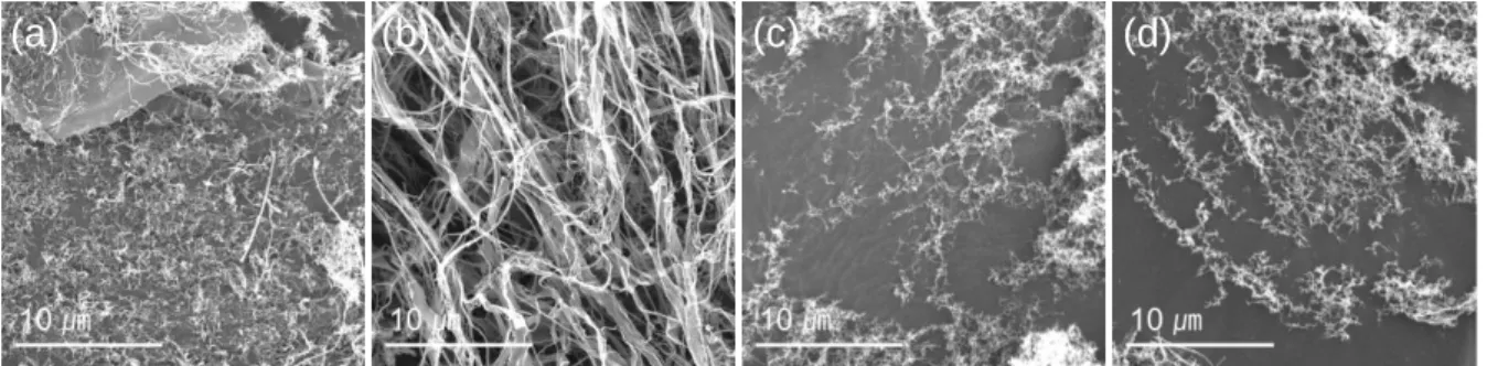 Figure 3.4 The SEM images of freeze-dried CNC obtained by the indicated method in table 3.2