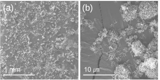 Figure 3.7 The SEM images of spray freeze-dried CNC obtained from 1.0 wt.% using spray nozzle