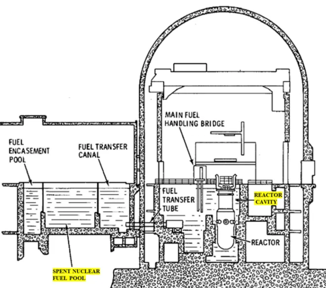 Figure 2-1. Cross-section view of PWR core and spent nuclear fuel pool. Reproduced with permission  from [32].