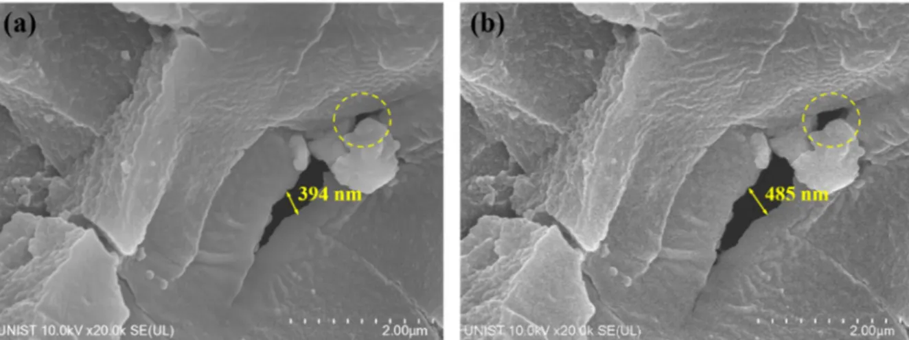 Figure 4-3. In-situ microstructural change of Al matrix due to electron damage accumulation during the  SEM imaging