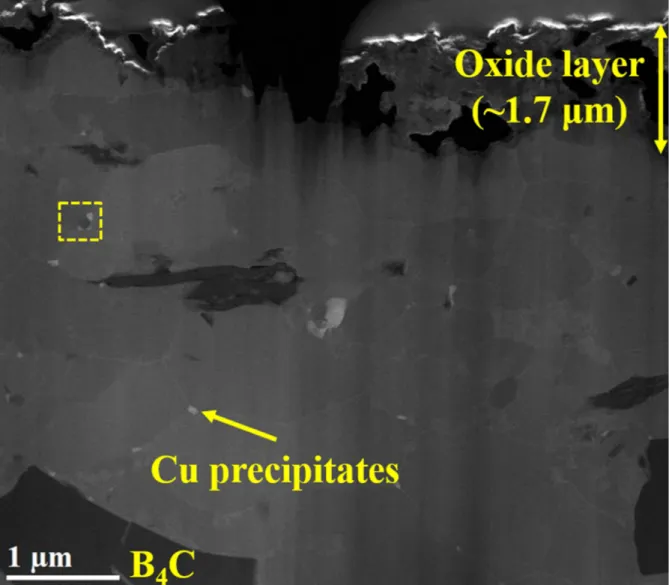 Figure 4-4. DF TEM image of porous surface and precipitates in 2.75 yr irradiated neutron absorber.