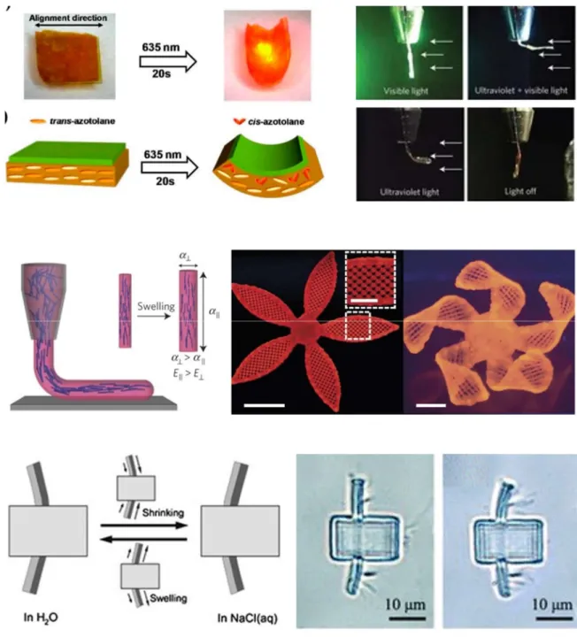 Figure 1.4. Various stimuli for cilia actuator. (a) A schematic showing light stimuli-based  actuation