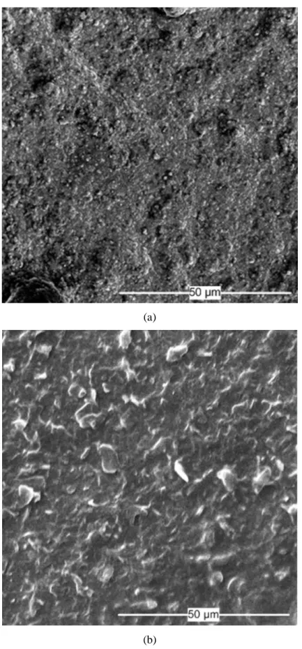 Fig. 2-3. Porous heating surfaces: (a) SiC, (b) graphene nanoparticles on heating surfaces 