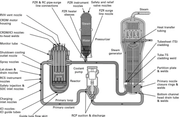 Figure 1.2 Locations of pressurizer heater sleeves and various other components    in primary system of PWR [1.4]