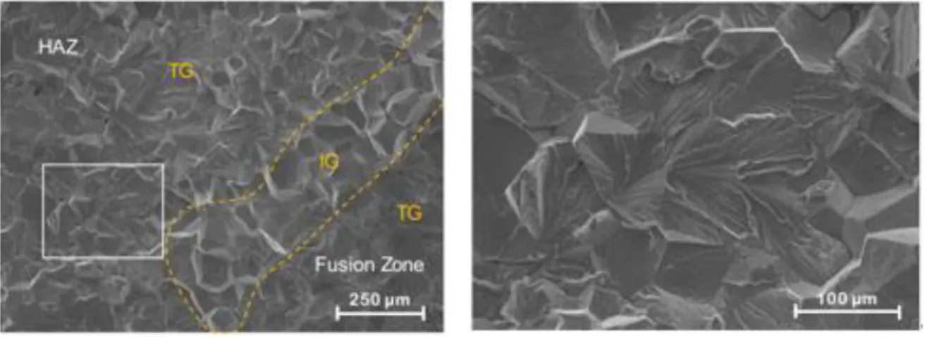 Figure 2.2 The difference in the shape of the crack between IGSCC (left) and TGSCC (right) [2.2] 
