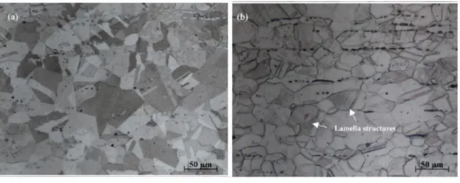 Figure 2.3  OM image of ( a) solution-treated and (b) cold drawn 316 austenitic stainless steel  showing  the difference caused by cold working [2.3] 