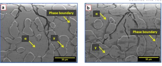 Figure 2.5 Image indicating that the ferrite phase is more SCC sensitive than the austenite phase in  chloride environment