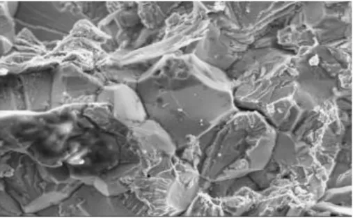 Figure 2.8 Mixed IG and TG cracking observed on 316L in aerated primary environment polluted by  11 ppm of chloride