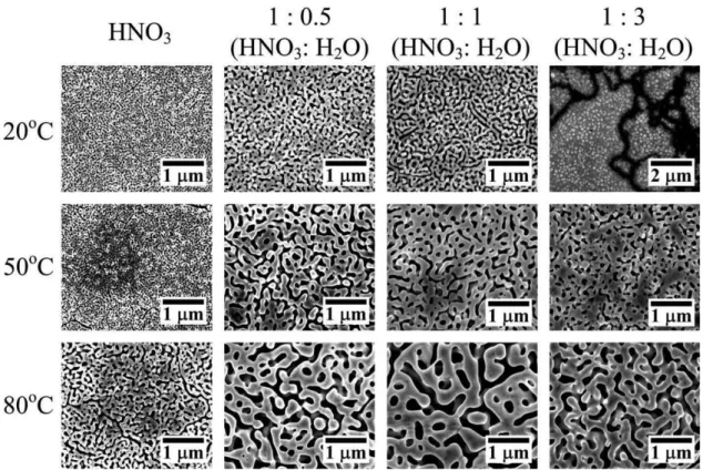 Fig. 2-3. SEM images of np-Au samples under various dealloying conditions [49].