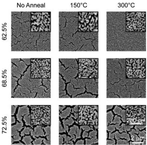 Fig. 2-5. SEM images of np-Au samples with various initial Ag at.% under different thermal  treatment conditions for Au-Ag films