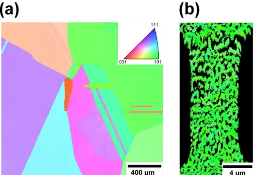 Fig. 4-2. The EBSD images for (a) Au-Ag precursor alloy and (b) np-Au tensile sample with d L  of 149  nm [30].