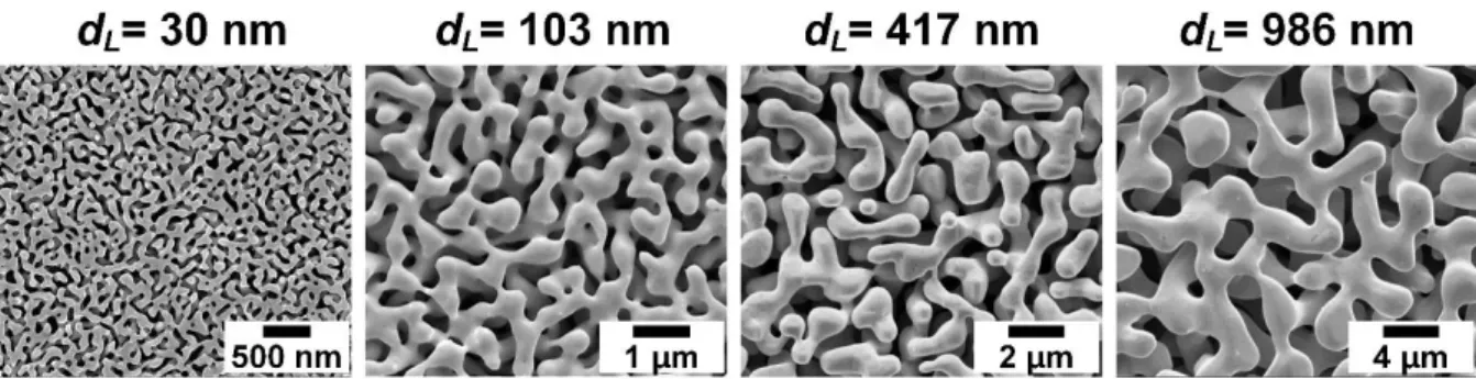 Fig. 5-1. SEM images for np-Au samples with ligament size d L  of 30 nm, 103 nm, 417 nm, and 986  nm [31].