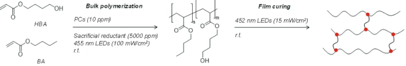 Figure 3.2. The preparation process of pressure-sensitive adhesive (PSA) samples: bulk polymerization  and film curing
