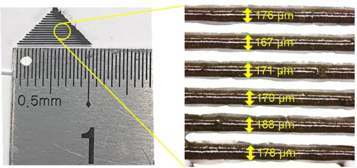 Figure 3.2. Line uniformity test. Photograph and OM image of the laterally printed layers