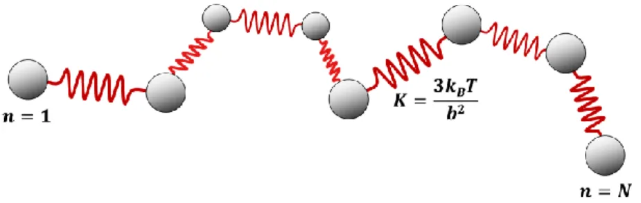 Figure 1.2.1. Schematic description of the Rouse model with N number of beads (gray circles)  connected by springs