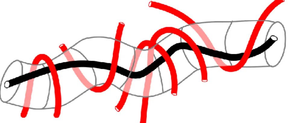 Figure 1.2.2. Schematic view of tube model where the topological constraints imposed by surrounding  red chains to the target black chain are approximated as a mean-field tube