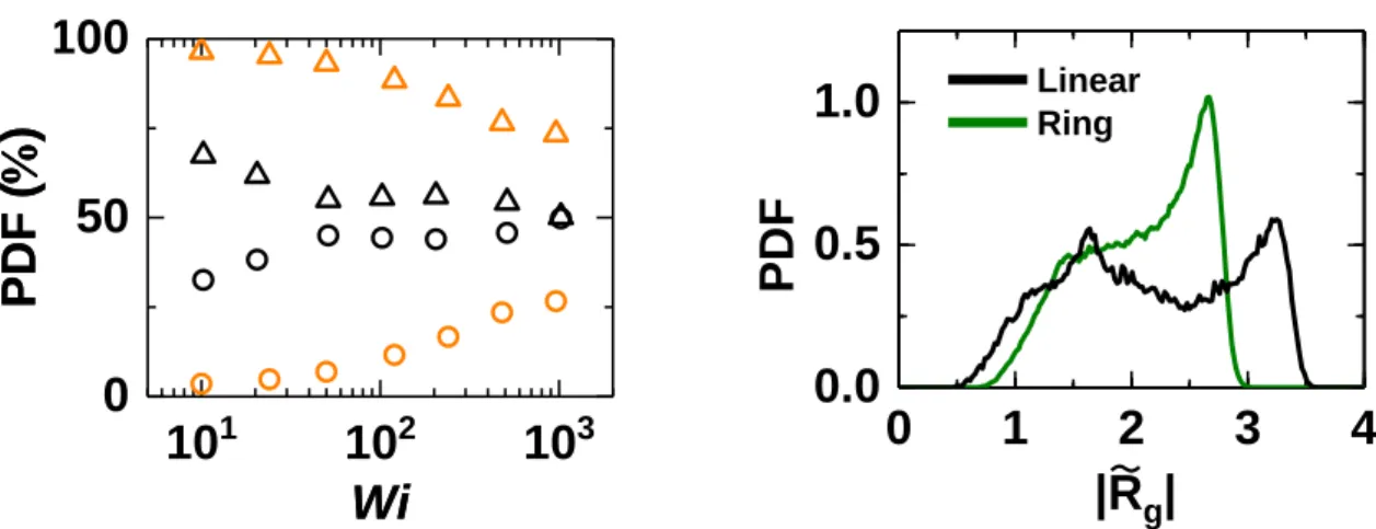 Figure  2.3.5  (Left)  The  proportion  of  the  end-loop  tumbling  (circles)  and  center-loop  tumbling  (triangles) mechanisms as a function of Wi for the dilute (black) and melt (orange) ring systems