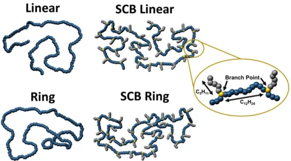 Figure 2.2.1. Schematic image of the molecular architectures for the bare linear (L_400 and L_565)  and  ring  (R_400  and  R_565)  PE  and  the  short-chain  branched  linear  (SCB_L_400_33x5)  and  ring  (SCB_R_400_33x5) PE systems simulated in this stud