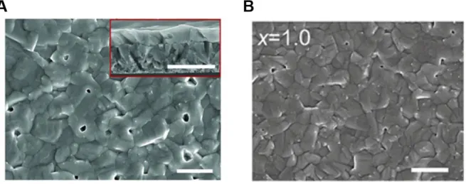 Fig. 4.2 SEM surface morphology images of β-CsPbI 3  with efficiency of (A) 18.4% Copyright ©  2019,  Copyright ©  2019 The Authors, some rights reserved; exclusive licensee American Association for the  Advancement of Science