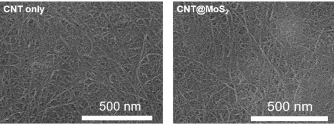 Figure 6.1. SEM image of CNT and CNT@MoS 2  anodes for Li-metal battery. 