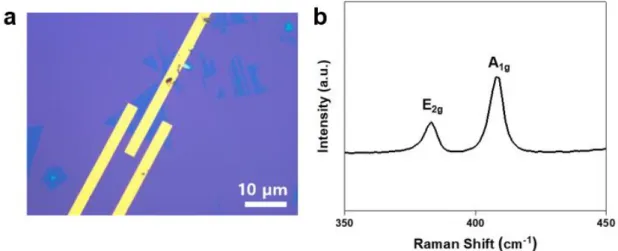 Figure 5.1. (a) OM image of MoS 2  flake and (b) corresponding Raman spectrum. 