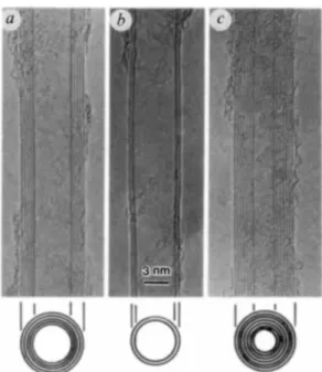 Figure  1.2  Electron  micrographs  of  first  observed  carbon  nanotubes  (From Ref