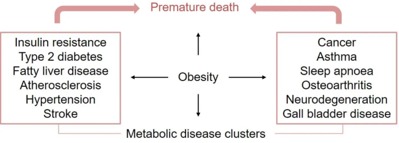 Figure 1-4. Heath problems associated with Obesity 