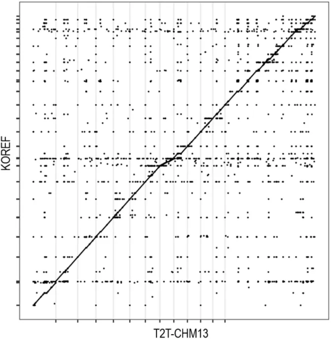 Figure  1.  Dotplot presenting  alignment  between  KOREF as  a  query  on  the  Y-axis and  T2T- T2T-CHM13 as  a  reference  on  the  X-axis