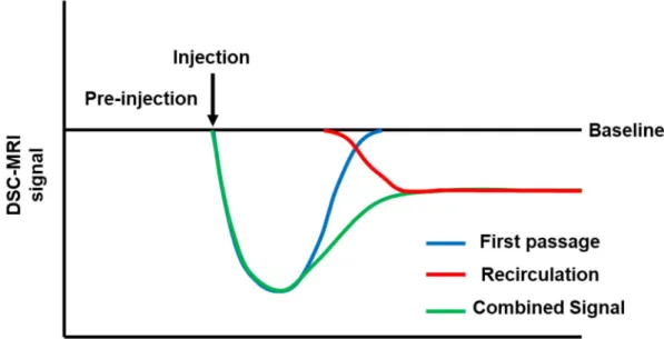 Figure 3. Recirculation effects of DSC-MRI. 
