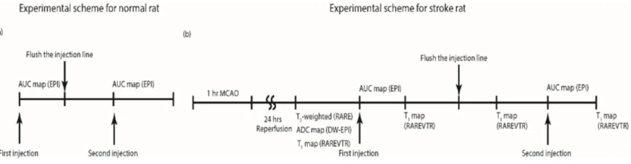 Figure 4. The summary of MRI scan scheme 3.2.2 Magnetic Resonance Imaging 